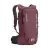 Ortovox Free Rider 20 S Backpack -Sports Camping Shop 46800 34701 FREE RIDER 20 S mountain rose B 01 91601.1698074012