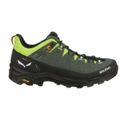 Salewa Men's Alp Trainer 2 GTX Hiking Shoe