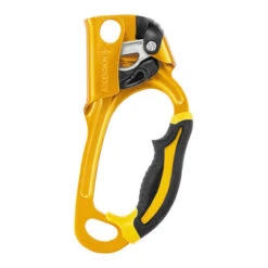 Petzl ASCENSION Ascender -Sports Camping Shop B17ARA Ascension right gold main copy 57757.1645140707