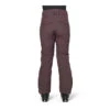Flylow Daisy Ski Pant - Women's