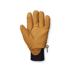 Flylow Tough Guy Glove -Sports Camping Shop F23 Tough Guy Glove Pine Back 57386.1696966900