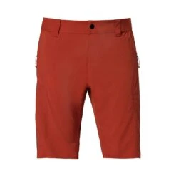 Flylow Goodson Short - Men's -Sports Camping Shop GoodsonShort Spice 948 70204.1650402611
