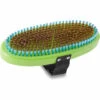 Dakine Premium Oval Brass Tuning Brush -Sports Camping Shop PREMIUMOVALBRASSBRUSH GREEN 610934385571 10003287 GREEN 12M MAIN 49972.1606155839
